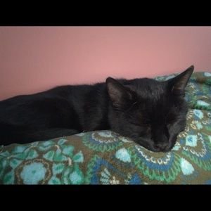 Meet your Posher, Melissa